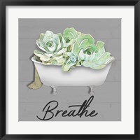 Framed Breathe Succulent