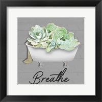 Framed Breathe Succulent