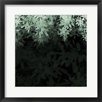 Framed Dark Tropical I