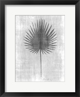 Tone on Tone Palm 3 Framed Print