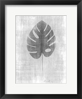 Tone on Tone Palm 4 Framed Print