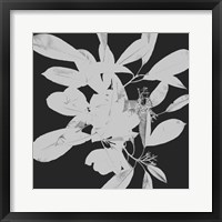 Botanical Dark 1 Framed Print