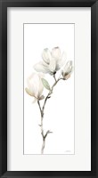 Framed White Magnolia II Panel