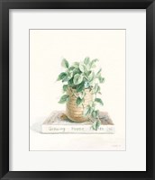 Grown at Home II Cream Framed Print