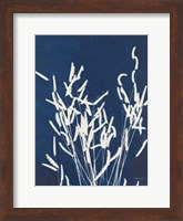 Framed Ornamental Grass IV