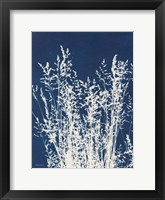 Ornamental Grass I Framed Print