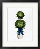 Topiaries 1 Framed Print