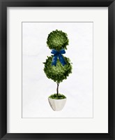 Topiaries 2 Framed Print