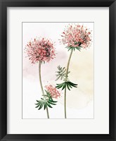 Framed Watercolor Crosswort