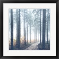 Framed Forest Road