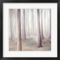 Forest Dreams 2 Framed Print