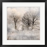 Framed Winter Frost 1