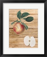 Framed Pressed Fruit 1