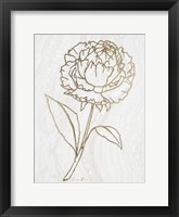 Golden Peony 1 Framed Print