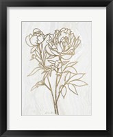 Golden Peony 2 Framed Print