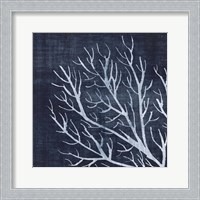 Framed Seaweed 1