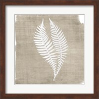 Framed Natures Fern 2