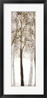 Wooded Grove 3 Framed Print