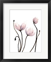 Fresh Growth 2 Framed Print