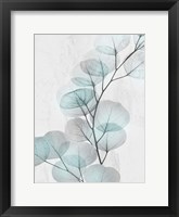 Framed Eucalyptus Glow 4