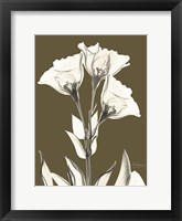 Gentian Fall Framed Print