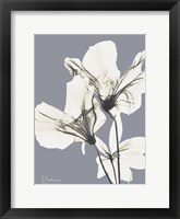 Splendid Autumn Beauty 2 Framed Print