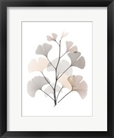 Framed Desert Ginko