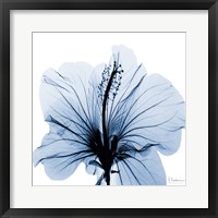 Framed Indigo Hibiscus