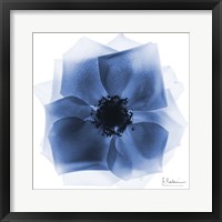 Framed Indigo Rose Petals 2