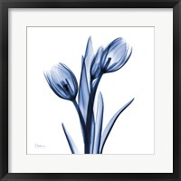 Framed Indigo Loved Tulips