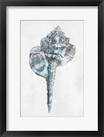 Urban Sea Shell 1 Framed Print