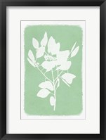 Soft Botanical Feelings 1 Framed Print