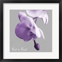 Framed Godly Good Orchids