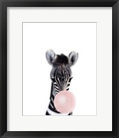 Baby Zebra Bubble Gum Framed Print
