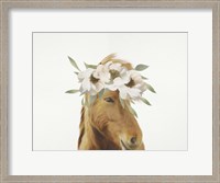 Framed Floral Horse