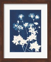 Framed Alpine Flower V