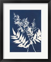 Alpine Flower III Framed Print