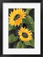 Framed Sunny Blooms on Black