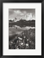 Framed Pronghorn and Dragon Head Peaks BW