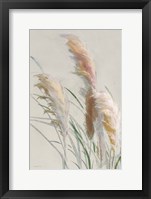 Neutral Pampas Grasses II Framed Print