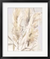 Framed Light Pampas Grasses II