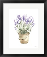 Framed Potted Lavender