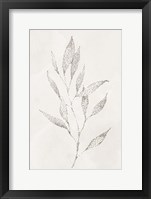 Spotted Botanical 2 Framed Print