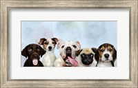 Framed Puppy Portrait