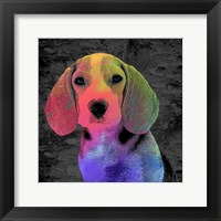 Framed Beagle