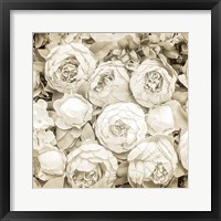 Framed Dried Roses