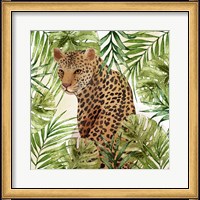 Framed Big Cats 3