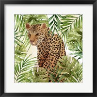 Big Cats 3 Framed Print