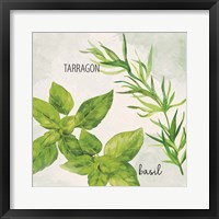 Framed Fresh Herbs 1