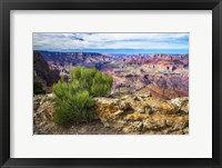 Framed Grand Canyon Medicine